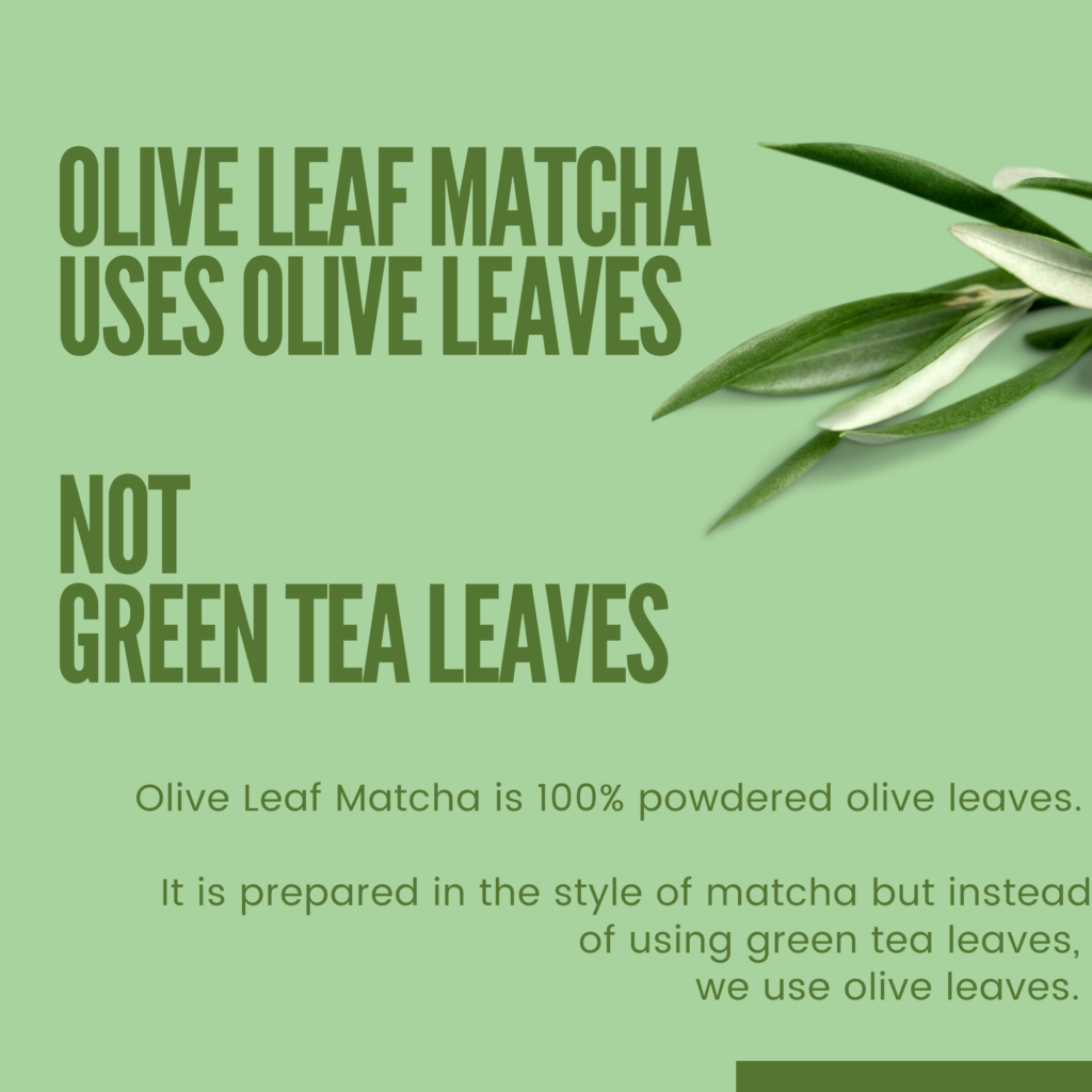 Image of olive leaves. Olive Leaf Matcha stands out for its exceptional qualities: crafted in Italy from 100% handpicked Olea europaea leaves, it embodies wellness with its potent health benefits. This innovative tea, inspired by chefs and driven by culinary creativity, is not only environmentally sustainable but also holds international appeal. Rigorously third-party tested to ensure superior nutritional quality, Olive Leaf Matcha is a pure, filler-free beverage that represents the pinnacle of tea innovation.