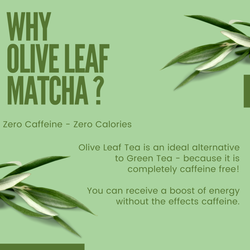 Image of olive leaves. Olive Leaf Matcha stands out for its exceptional qualities: crafted in Italy from 100% handpicked Olea europaea leaves, it embodies wellness with its potent health benefits. This innovative tea, inspired by chefs and driven by culinary creativity, is not only environmentally sustainable but also holds international appeal. Rigorously third-party tested to ensure superior nutritional quality, Olive Leaf Matcha is a pure, filler-free beverage that represents the pinnacle of tea innovation.
